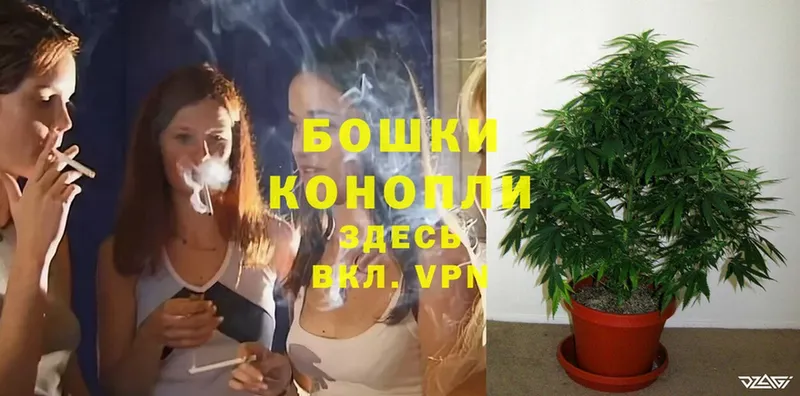 где продают наркотики  Жигулёвск  Бошки марихуана THC 21% 